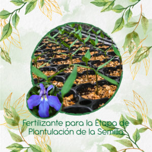 Fertilizantes Individuales Para Lobelia