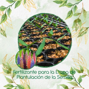 Fertilizantes Individuales Para Lupinus Altramuz