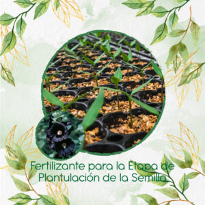 Fertilizantes Individuales Para Malva Real