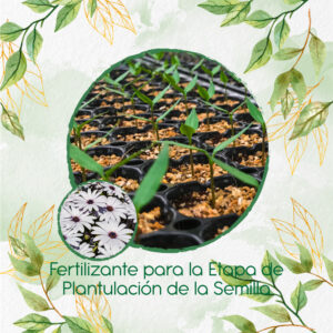 Fertilizantes Individuales Para Margarita Africana