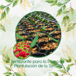 Fertilizantes Individuales Para Margarita Inglesa