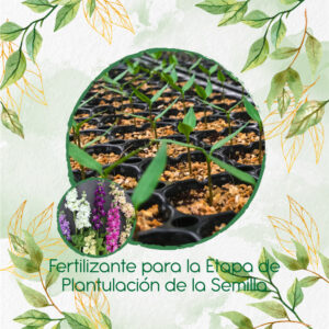 Fertilizantes Individuales Para Matthiola