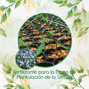 Fertilizantes Individuales Para No Me Olvides Azul