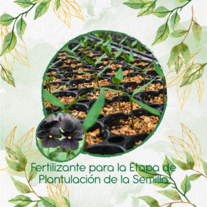 Fertilizantes Individuales Para Pensamiento Casi Negro