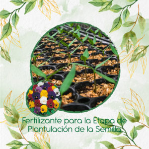 Fertilizantes Individuales Para Viola Pensamiento Holanda