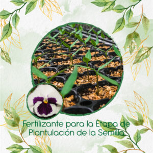 Fertilizantes Individuales Para Pensamiento Blanco Suizo