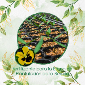 Fertilizantes Individuales Para Pensamiento Oro Suizo