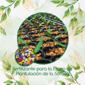 Fertilizantes Individuales Para Pensamiento Mezcla