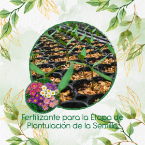 Fertilizantes Individuales Para Aster Arco Iris