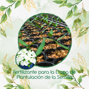 Fertilizantes Individuales Para Petunia Enana Blanca