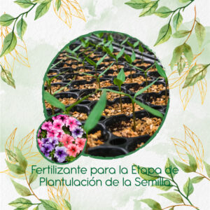 Fertilizantes Individuales Para Petunia Mezcla