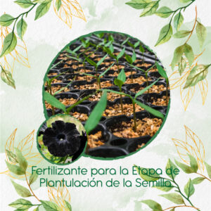 Fertilizantes Individuales Para Petunia Negra