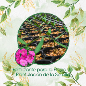 Fertilizantes Individuales Para Petunia Rosa