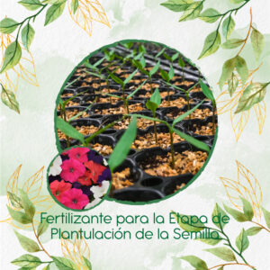 Fertilizantes Individuales Para Petunia Péndula