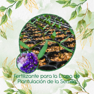 Fertilizantes Individuales Para Statice Sinauta