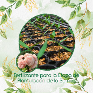 Fertilizantes Individuales Para Aster Chino