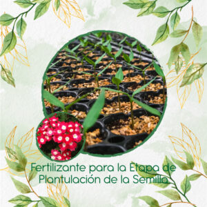 Fertilizantes Individuales Para Verbena