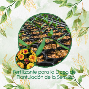 Fertilizantes Individuales Para Zinnia Alfombra De Persia