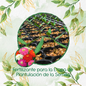 Fertilizantes Individuales Para Zinnia Crisantemo Mezcla