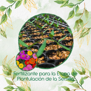Fertilizantes Individuales Para Zinnia Enana Mezcla