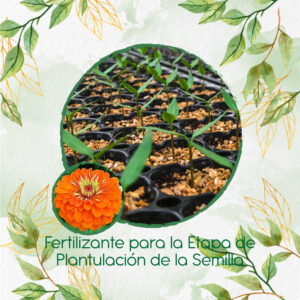 Fertilizantes Individuales Para Zinnia Naranja