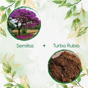 Kits De Siembra Para Acacia Rosa