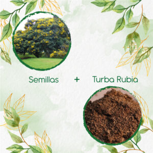 Kits De Siembra Para Alcaparro