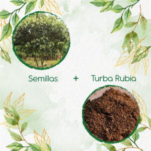 Kits De Siembra Para Cajeto