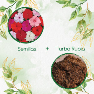 Kits De Siembra Para Besitos