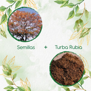 Kits De Siembra Para Cañafistol - Llanero