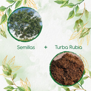 Kits De Siembra Para Caoba