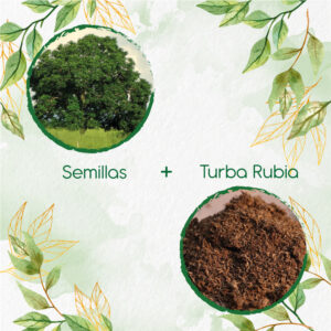 Kits De Siembra Para Caracolí