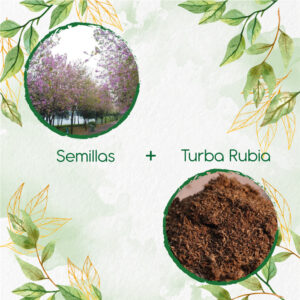 Kits De Siembra Para Casco De Vaca