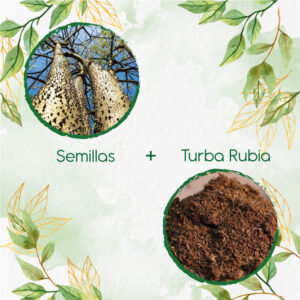 Kits De Siembra Para Ceiba Amarilla