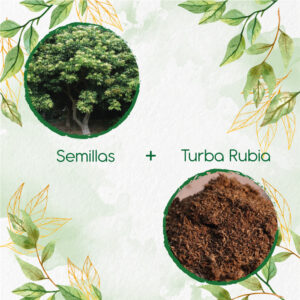 Kits De Siembra Para Chambimbe Jaboncillo