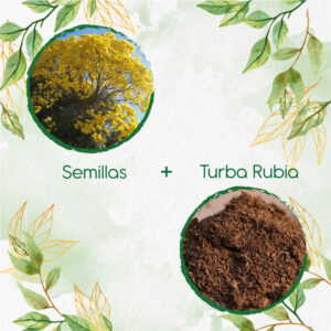 Kits De Siembra Para Chicalá - Fresno