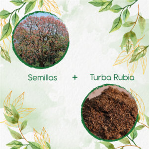 Kits De Siembra Para Chochos De Árbol