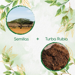 Kits De Siembra Para Cuji Trupillo