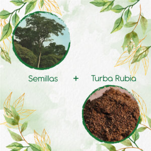 Kits De Siembra Para Dinde Mora