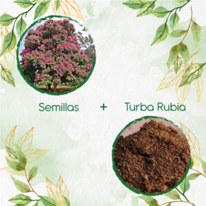 Kits De Siembra Para Embrujo De La India