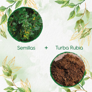 Kits De Siembra Para Espino