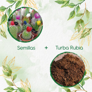 Kits De Siembra Para Cactus Mezcla
