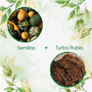 Kits De Siembra Para Calabacitas De Adorno