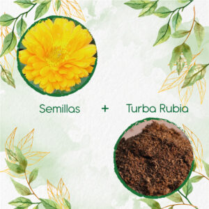 Kits De Siembra Para Caléndula Amarilla Oro