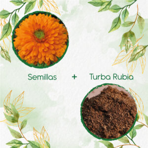 Kits De Siembra Para Caléndula Naranja