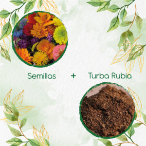 Kits De Siembra Para Flores Silvestres