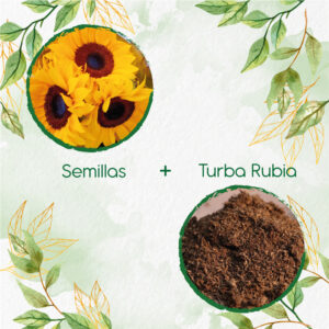 Kits De Siembra Para Girasol Mix Amarillos