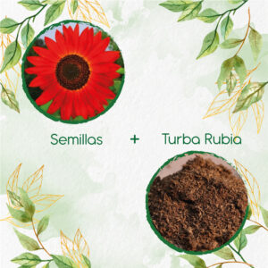 Kits De Siembra Para Girasol Rojo