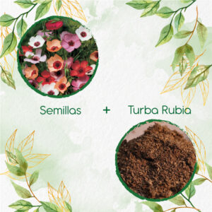 Kits De Siembra Para Lino Grandiflorum