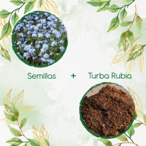 Kits De Siembra Para No Me Olvides Azul